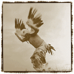 Eagle cachina 1910.gif