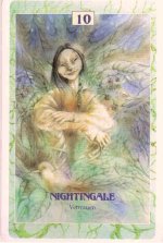 Elf nightingale-2.jpg