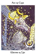 ace of cups  AT.jpg