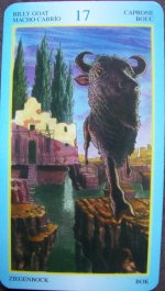 Billy Goat-card 17(sml).jpg
