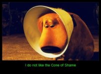 cone of shame.jpg