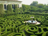 garden maze.jpg