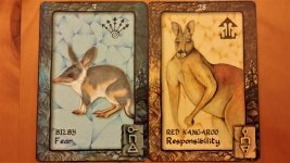 Animal Dreaming Cards - Reading for NONI 2017.jpg