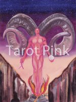 Tarot Pink (67 of 77).jpg