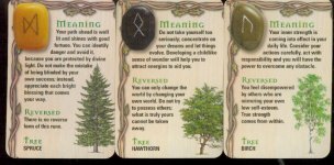 Rune cards.jpg