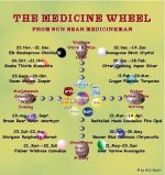 medicine wheel.jpg